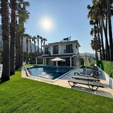 فيلة Zefiros داليان